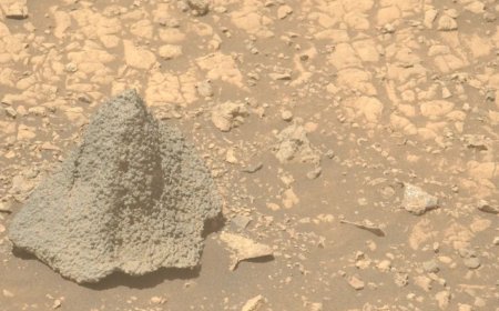 NASA’s Perseverance Rover Spots Helmet-Like Rock on Mars, Sparks Geology Debate