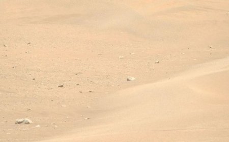 NASA’s Perseverance Rover Spots Megaripples, Proof Mars' Soil Is Still Shifting