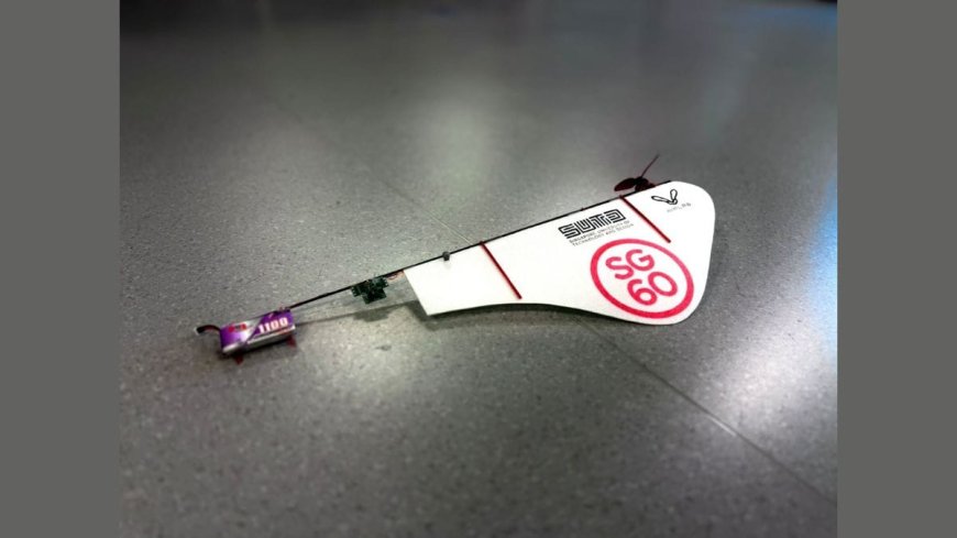 Singapore Researchers Build Maple Seed Drone with Record 26-Minute Flight
