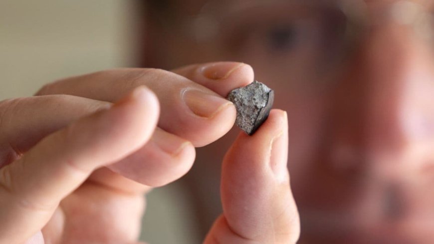 Cosmic Visitor: 4.56-Billion-Year-Old Meteorite Strikes into Georgia Home