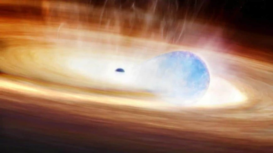 Astronomers Observe Rare Supernova–Black Hole Interaction in Early Stages