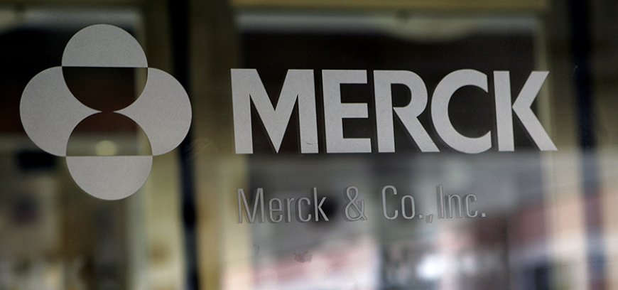 Why These Medicaid Stocks Might Surge