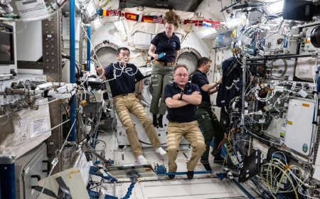 ISS Crew Studies Bone Loss and Brain Adaptation to Safeguard Astronaut Health