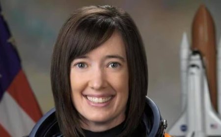 Who Is Megan McArthur, the First Woman to Pilot NASA's SpaceX Dragon?