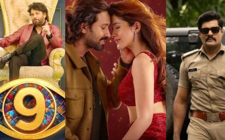 OTT Releases of the Week (1st Sept - 7th Sept): From Maalik, to Inspector Zende, and More