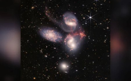 NASA’s James Webb Space Telescope Spots Rare Quintet of Galaxies From the Early Universe
