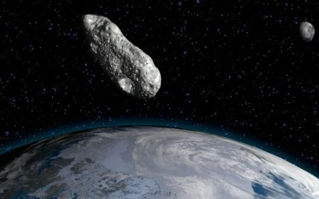 NASA Tracks Newly Discovered Bus-Sized Asteroid as It Flies Past Earth