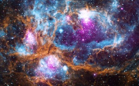 James Webb Spots Bizarre Planet-Forming Disk Full of Carbon Dioxide