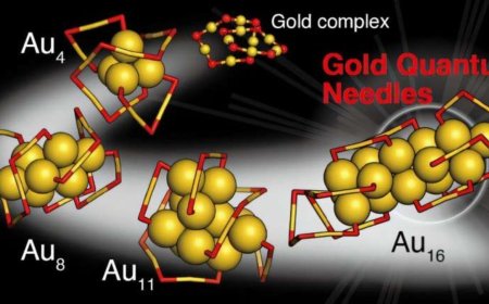 Scientists Visualize New Gold Quantum Needles at Nanoscale