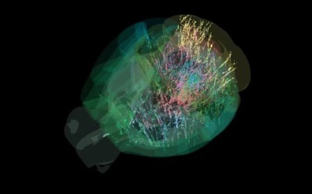 Scientists Map Brain Activity Across 95% of the Mammalian Brain in Landmark Study