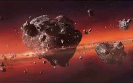Asteroids vs Comets vs Meteors vs Meteorites: What Are They and How Are They Different From Each Other?