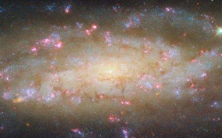 NASA Captures Striking Image of Galaxy NGC 7456, 51 Million Light-Years Away