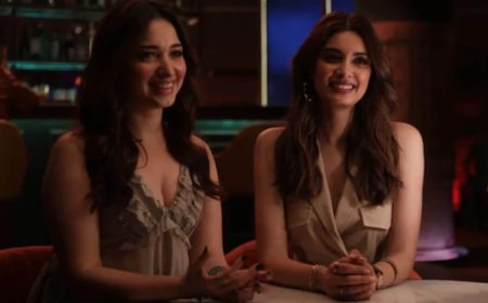 Tamannaah Bhatia-Starrer Do You Wanna Partner to Release on OTT Platforms Soon: Everything You Need to Know