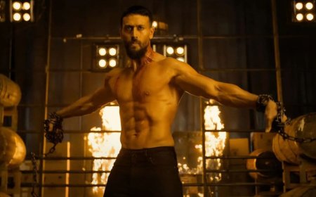 Baaghi 4 OTT Release: When Could Tiger Shroff-Starring Action Thriller Be Available for Streaming?