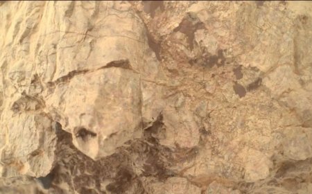 NASA’s Perseverance Rover Spots Turtle-Shaped Rock in Mars’ Jezero Crater