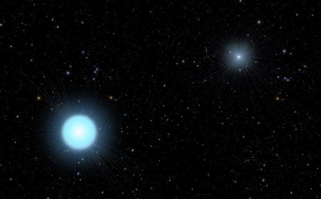NASA Hubble Space Telescope Uncovers One of the Youngest Known Blue Straggler–White Dwarf Systems