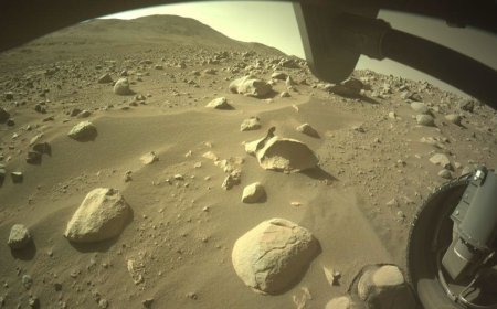 NASA’s Perseverance Rover Finds Potential Signs of Life in Mars Rock Sample