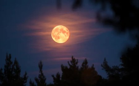 Supermoon 2025: When Is the Next Full Moon Lighting Up the Sky