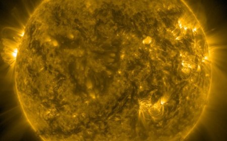 Sun Shows Signs of Rising Activity Following Decades of Weakening, Study Finds
