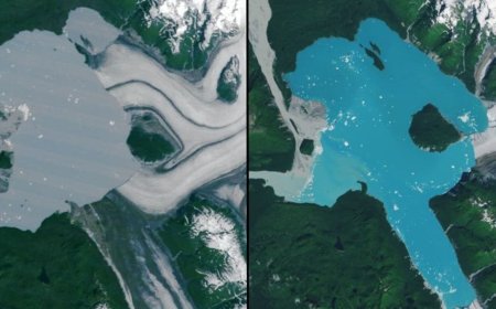 NASA Images Show New Island Formed by Retreat of Alaska’s Alsek Glacier