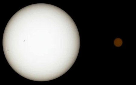 Chinese Astronomers Search for Extraterrestrial Signals in TRAPPIST-1 System