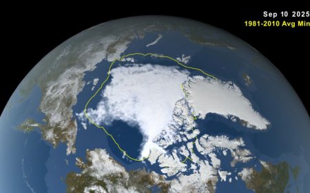 Satellite Observations Record Arctic Sea Ice at Lowest Level of the Year