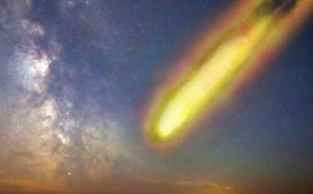 Study Links Microbial Colonization to Ancient Meteorite Crater: What You Need to Know