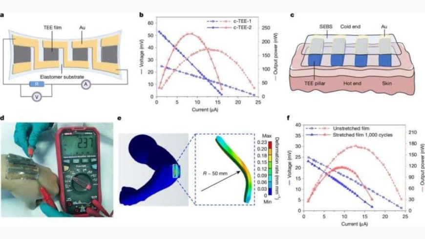 Scientists Create Stretchy Rubber That Converts Body Heat Into Electricity for Wearables