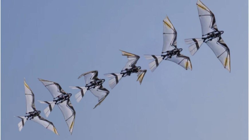 Bird-Inspired Robot With Innovative Wing Design Achieves Self-Takeoff and Controlled Flight