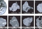 Chang’e-6 Lunar Samples Reveal Water-Rich Asteroid Fragments