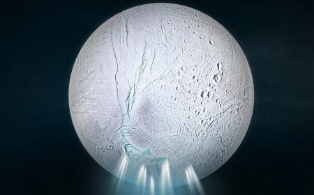 Saturn’s Moon Enceladus Spouts Complex Organics That Could Hold Clues to Life