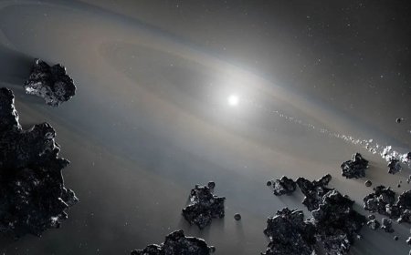 NASA Shuts Down Public Communications on Website Amid US Budget Impasse