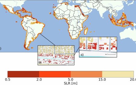 Over 100 Million Buildings Worldwide Could Face Flooding Risk From Rising Seas, Study Warns