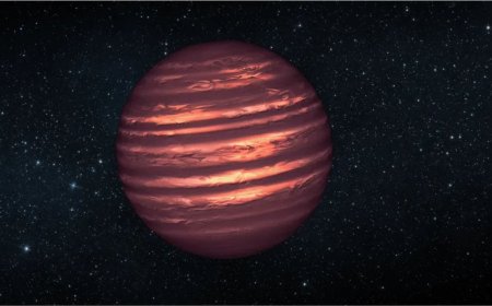 James Webb Space Telescope Detects Phosphine on Brown Dwarf Wolf 1130C