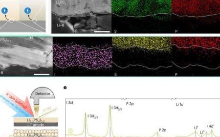 Scientists Develop Self-Healing Technology for Safer, Longer-Lasting EV Batteries