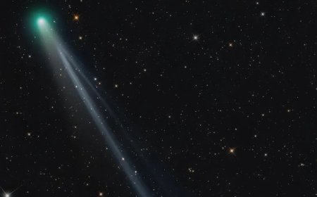 Solar Wind Cuts Comet Lemmon’s Tail In Rare Disconnection Event