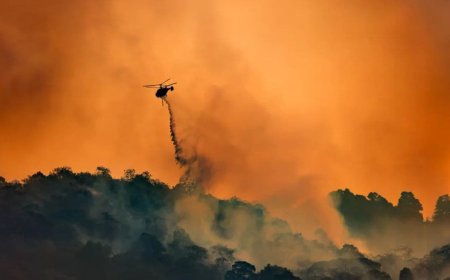 Atmospheric Carbon Dioxide Soars to 424PPM, Marking Biggest Yearly Jump Ever