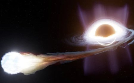 Black Hole Tears Star Apart, Sends Out Powerful Flares Six Months Later