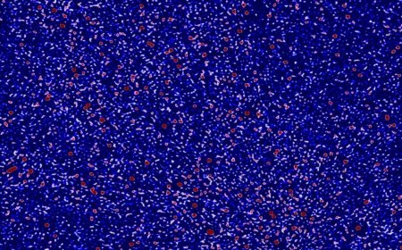 Scientists Create Most Detailed Radio Map of Early Universe Using MWA