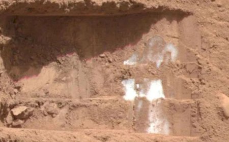 NASA Experiment Shows Martian Ice Could Preserve Signs of Ancient Life