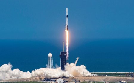 SpaceX Launches 10,000th Starlink Satellite, Sets New Annual Record