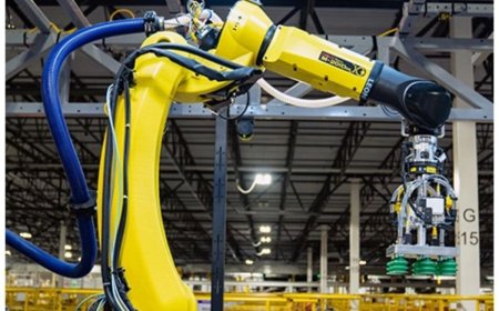 Amazon Is Reportedly Planning to Replace Half a Million Workers With Robots and Automation