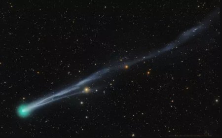 Astrophotographer Captures Stunning “Raging Baboon Nebula” in Deep Space