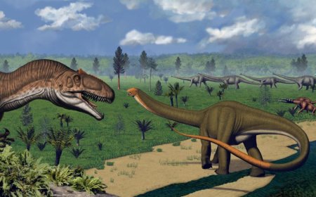 New Fossil Teeth Evidence Suggests Herbivorous Dinosaurs Preferred Nutrient-Rich, Textured Plants