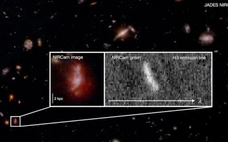 James Webb Telescope Uncovers the Turbulent Birth of the First Galaxies