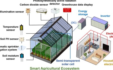 Semi-Transparent Solar Cells Break Records, Promise Energy-Generating Windows and Facades