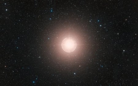 NASA Telescopes Capture First-Ever Companion Star Orbiting Massive Red Supergiant Betelgeuse