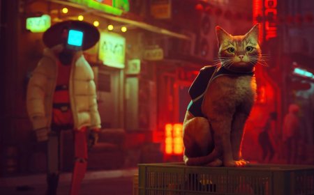 Cat Adventure Game Stray is Reportedly Coming to PS Plus Essential in November