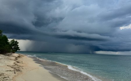 Bitchat Becomes Jamaica’s Go-to App as Hurricane Melissa Cripples Communication