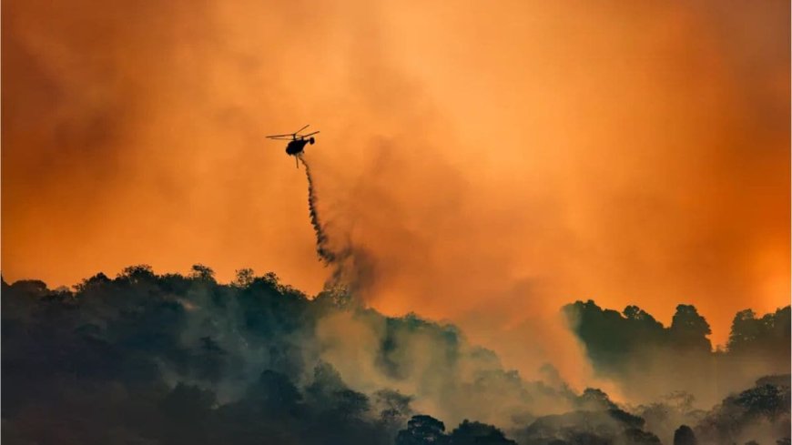 Atmospheric Carbon Dioxide Soars to 424PPM, Marking Biggest Yearly Jump Ever